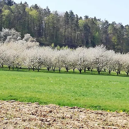 Villa Apfelbluete Und Paradies Baernfels