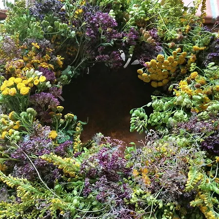 Villa Apfelbluete Und Paradies *