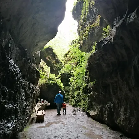 Apfelbluete Und Paradies