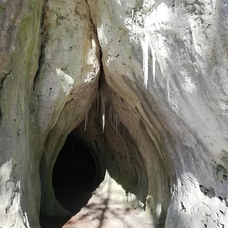 Apfelblüte Und Paradies *